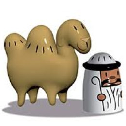 Amir & Camelus