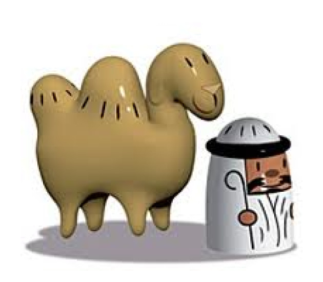 Amir & Camelus