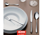 6 pers. 24 delig met holheft mes