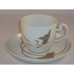 Koffiekop en schotel