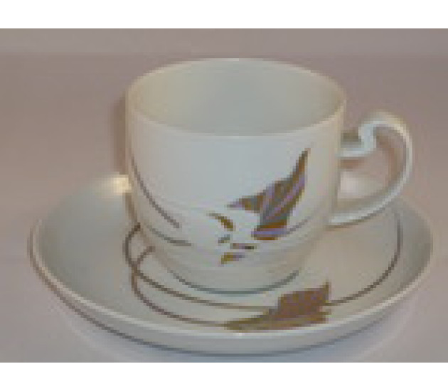 Koffiekop en schotel