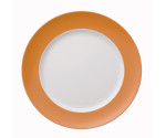 Dinerbord 27 cm