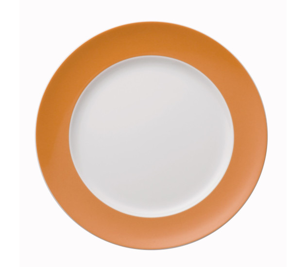 Dinerbord 27 cm