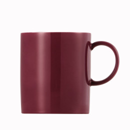 Beker 0,3 l