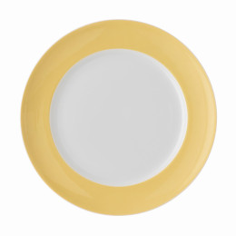 Dinerbord 27 cm