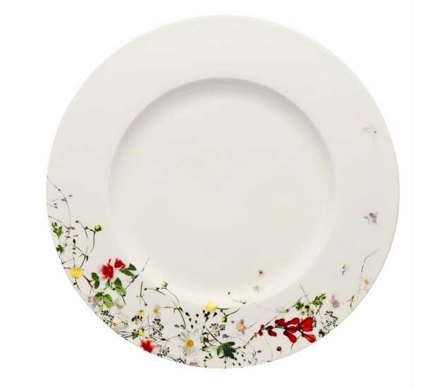 Dinerbord met rand 28 cm