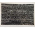 Set/6 Ebony Shades 'houtlook'