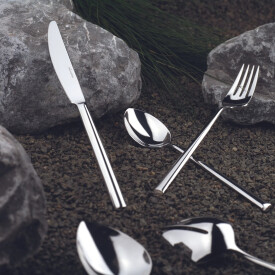 Palladio edelstaal poli