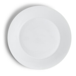 Dinerbord 27 cm *met schoonheidsfoutjes!*