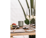 Witte Wijnglas (Riesling) nr. 2 set/2