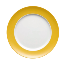 Dinerbord 27 cm