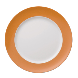 Dinerbord 27 cm