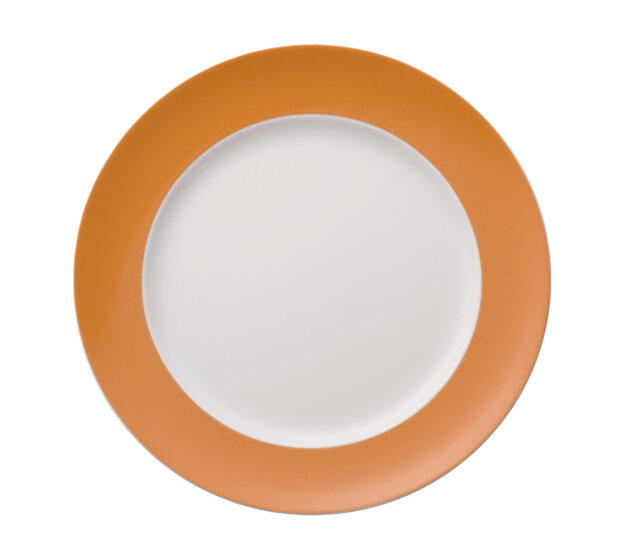 Dinerbord 27 cm